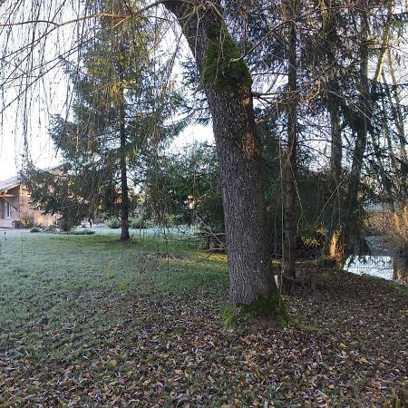 Gite Des Viviers -08400 Manre - De 1 A 2 Personnes Экстерьер фото